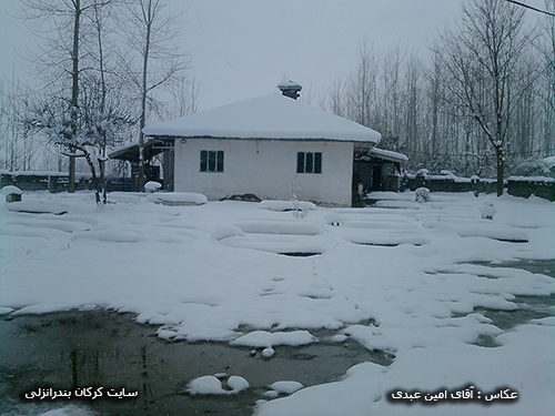 زمستان و برف در روستای زهنده 3
