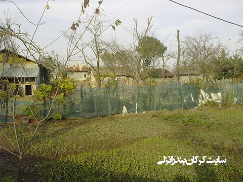 روستای تالش محله کرکان (www.karkan.ir)