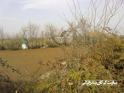 استخر مرغوب روستای کرکان بندرانزلی (www.karkan.ir)