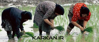 مادر (www.karkan.ir)