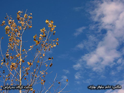 پاییز در روستای کرکان بندرانزلی 07 (عکاس خانم نیلوفر بهاری)